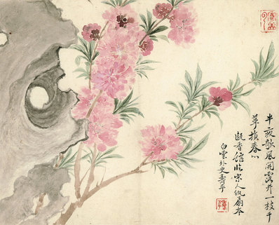 清代画.惲寿平_甌香馆写生册_桃_6651.5370