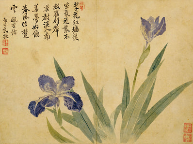 清代画.华嵒_花鸟草虫八开_华嵒花鸟草_5_4309.3228