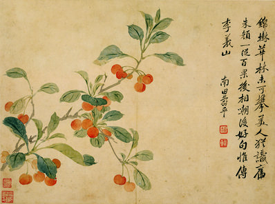 清代画.华嵒_花鸟草虫八开_华嵒花鸟草_4_4309.3202