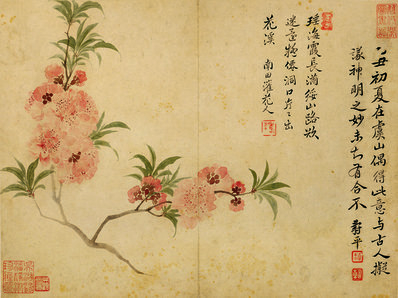 清代画.华嵒_花鸟草虫八开_华嵒花鸟草_3_4309.3219