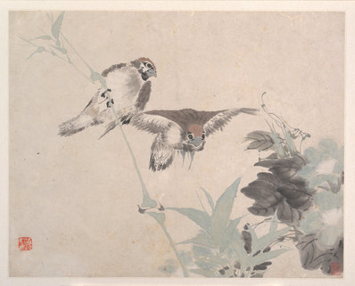 清代画.任颐_花鸟蔬果册页_八开_3_4500.3623
