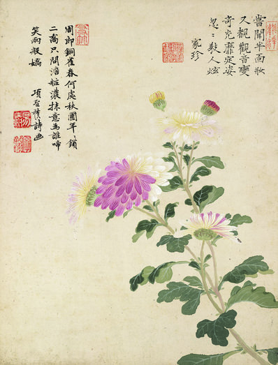 明代画.项圣漠_花卉_9_3792.4984