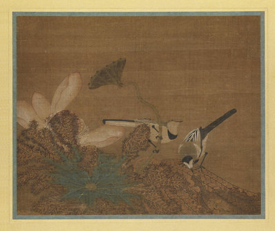 明代画.王渊_莲鹡鸰图_7019.5889
