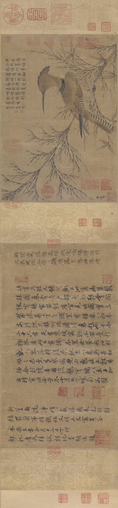 元代画.赵孟兆页_幽篁戴胜图_30000.7020