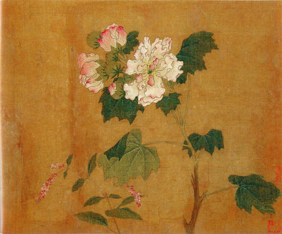 五代_后蜀_黄居寀_花卉写生图册_14_3011.2494