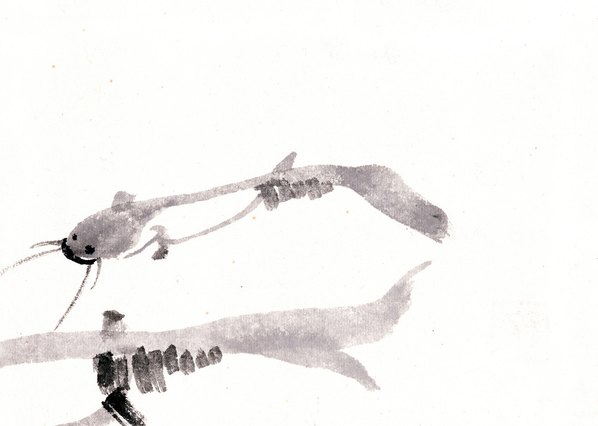 近代画.虾_8268.5888