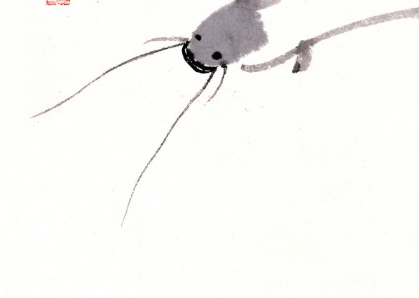 近代画.虾_8268.5888