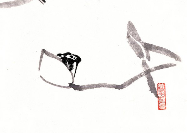 近代画.虾_8268.5888