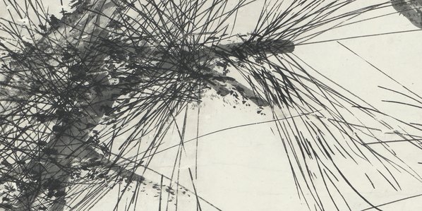 近代画.汤涤_墨笔松树轴_纸本_5846.11692 近代画.汤涤_墨笔松树轴_纸本_5846.11692