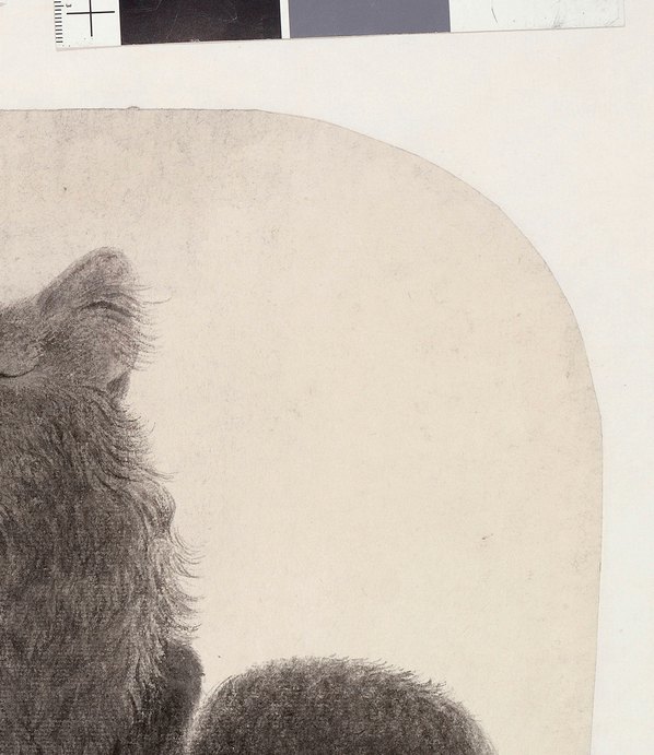 近代画.李水歌_黑猫_镜_5056.5840 近代画.李水歌_黑猫_镜_5056.5840