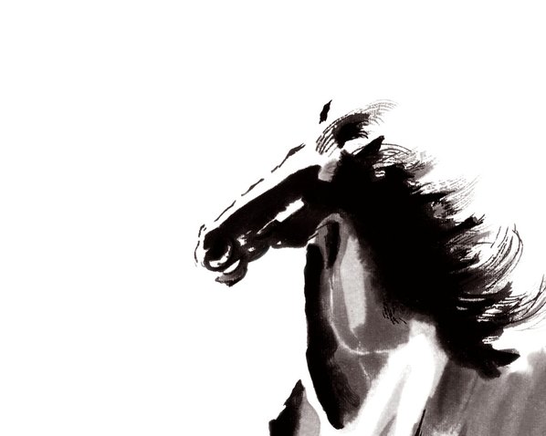 近代画.徐悲鸿_小马_7874.6299