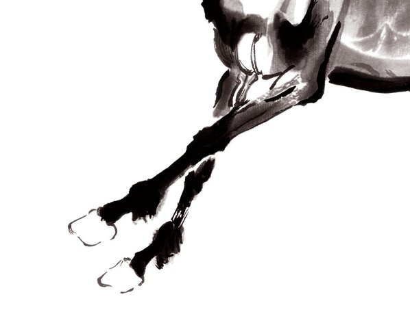 近代画.徐悲鸿_小马_7874.6299