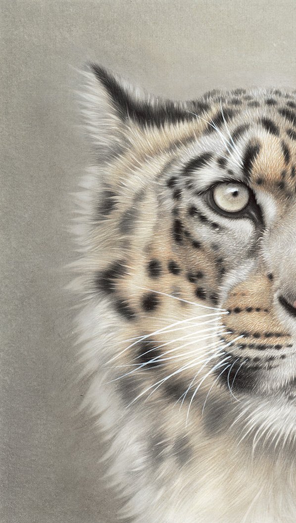 近代画.刘继彪_虎雪豹_7707.3407