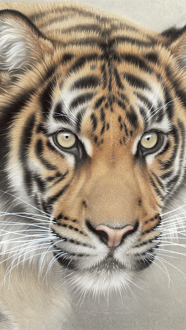 近代画.刘继彪_虎雪豹_7707.3407