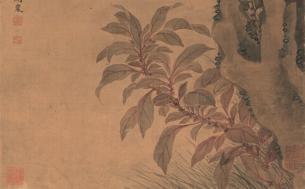 清代画.阙岚_花鸟_梧桐白头图_绢本_4806.11878