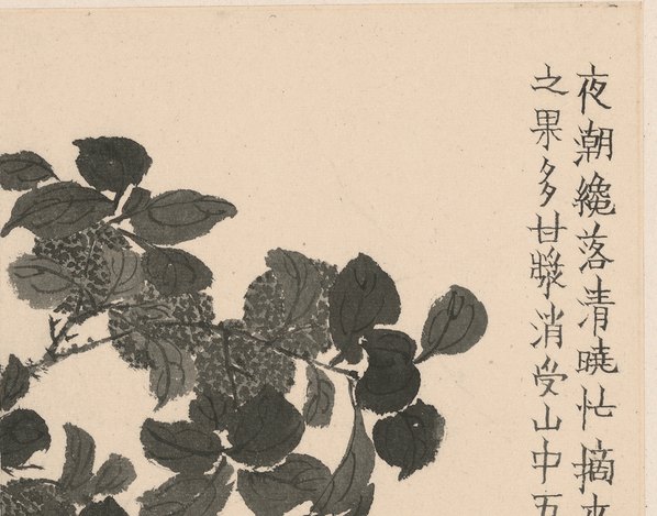 清代画.金农_杂画十二开_纸本_111_3795.2979 清代画.金农_杂画十二开_纸本_111_3795.2979