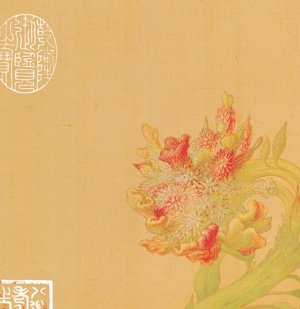 清代画.郎世宁_花鸟图册_7