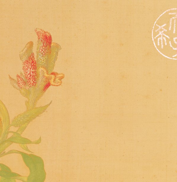 清代画.郎世宁_花鸟图册_7