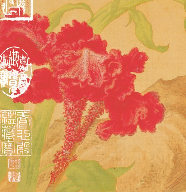 清代画.郎世宁_花鸟图册_7