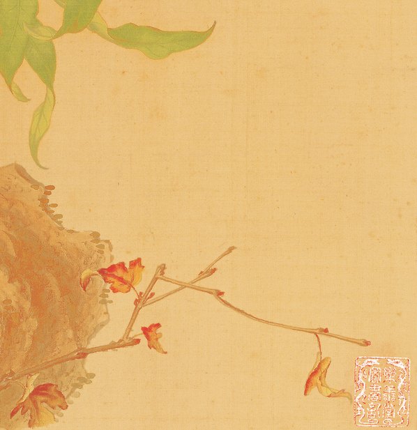 清代画.郎世宁_花鸟图册_7