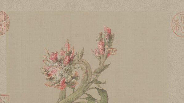 清代画.郎世宁_花鸟图册_50_10236.5748