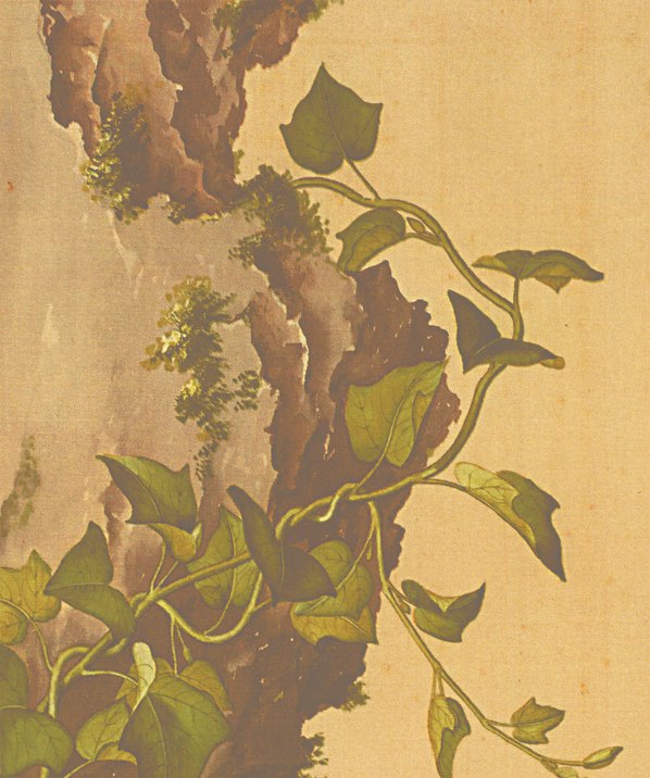 清代画.郎世宁_花鸟图册_27