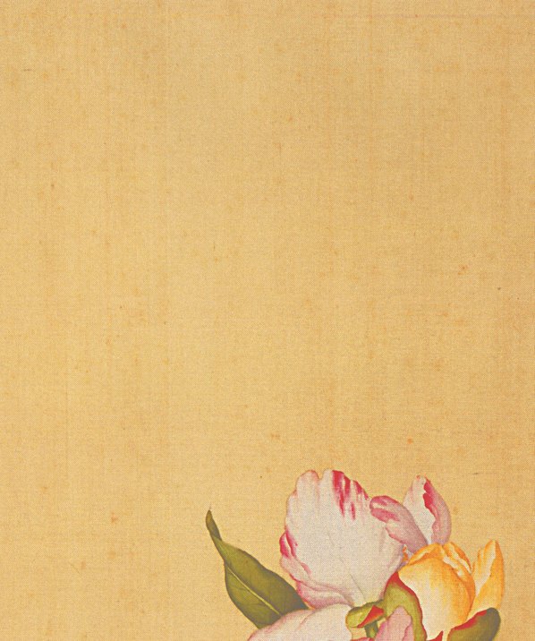 清代画.郎世宁_花鸟图册_27