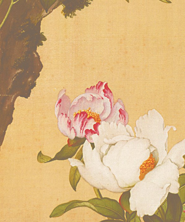 清代画.郎世宁_花鸟图册_27