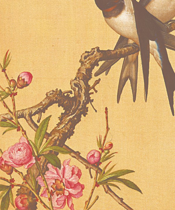 清_郎世宁_花鸟图册_25 清_郎世宁_花鸟图册_25