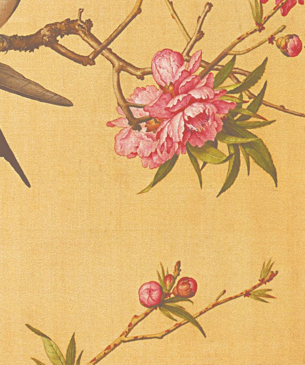 清_郎世宁_花鸟图册_25 清_郎世宁_花鸟图册_25