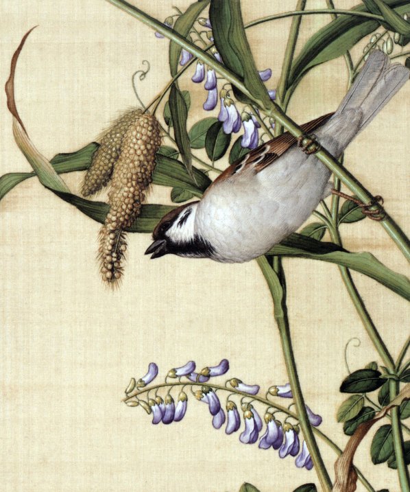 清代画.郎世宁_仙萼长春图最佳版_谷花稷穗_4386.5259_284dpi