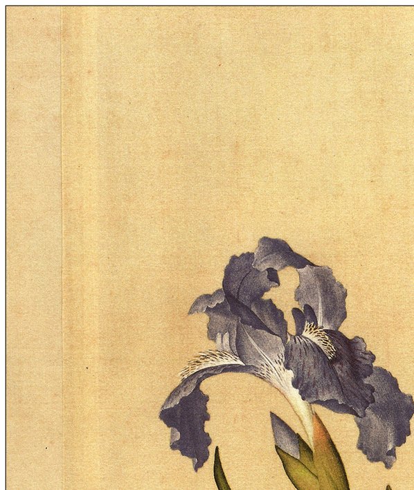 清代画.郎世宁_仙萼长春图_29_4488.5315 清代画.郎世宁_仙萼长春图_29_4488.5315