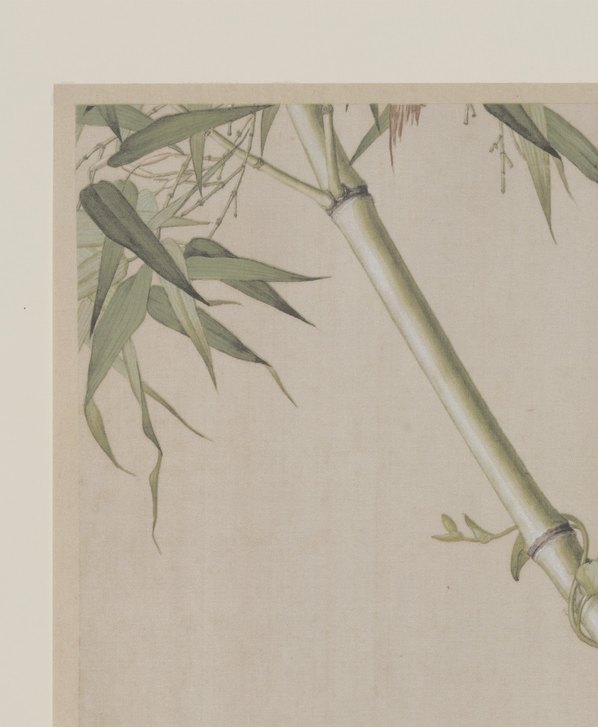 清代画.郎世宁_仙萼长春图_27_6220.7566
