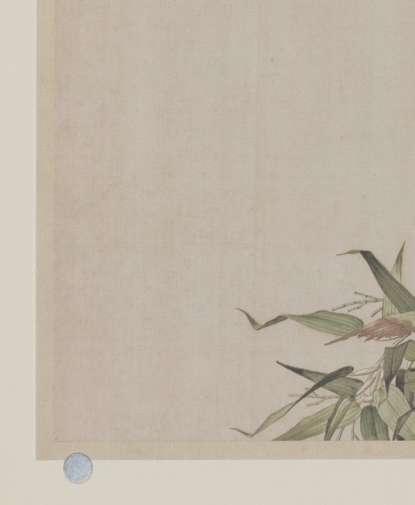 清代画.郎世宁_仙萼长春图_27_6220.7566