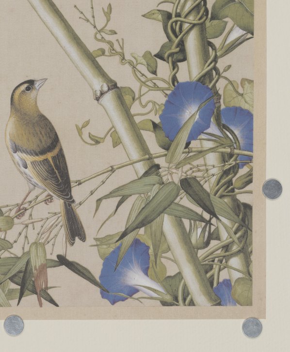 清代画.郎世宁_仙萼长春图_27_6220.7566