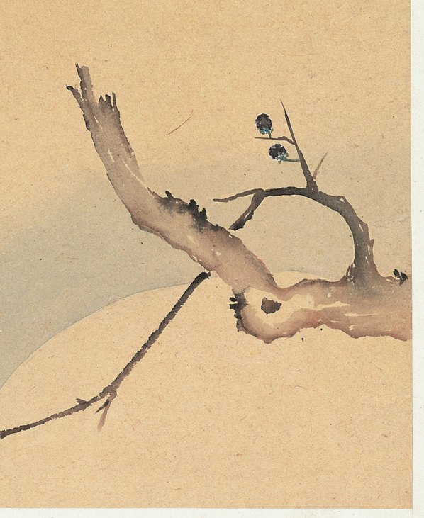 清代画.邹一桂_花卉八开_纸本_3084x3768_300dpi