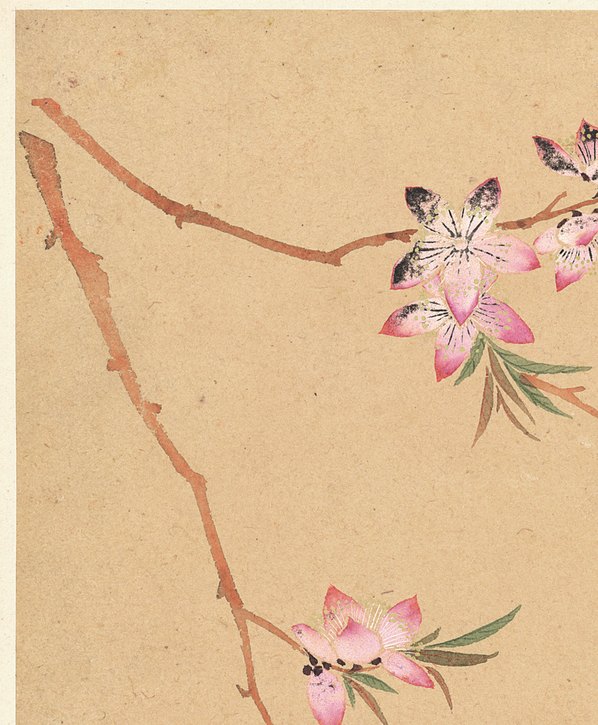 清代画.邹一桂_花卉八开_纸本_3084.3740