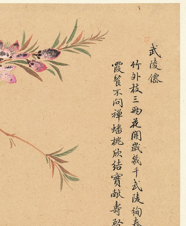 清代画.邹一桂_花卉八开_纸本_3084.3740