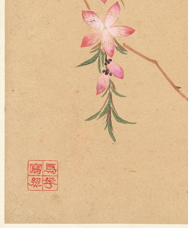 清代画.邹一桂_花卉八开_纸本_3084.3740