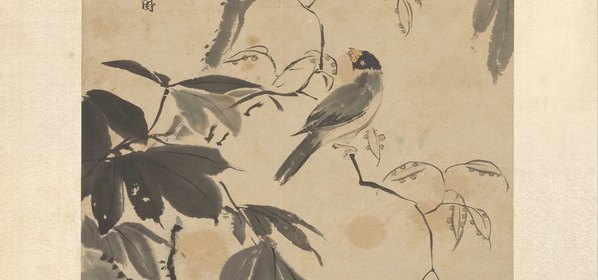 清代画.禹之鼎_桐禽图轴纸本_5669.10626