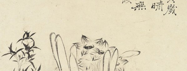 清代画.石涛_花卉册十帧_4_2613.3979