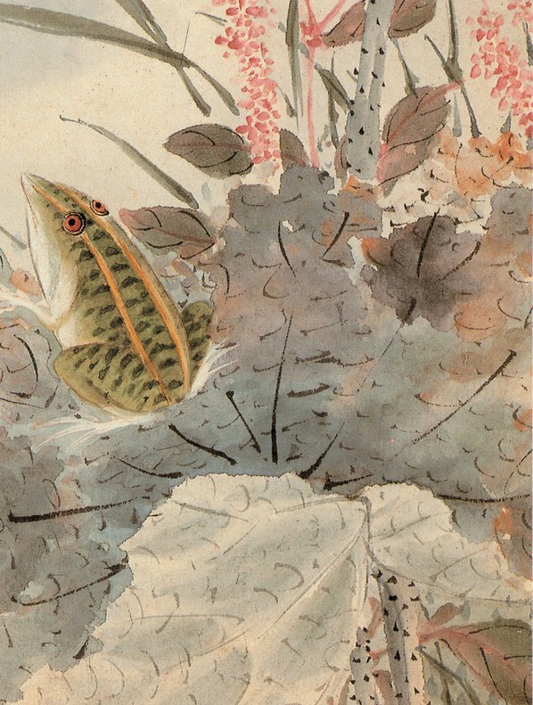 清代画.王武_花卉册_21_2642.3494