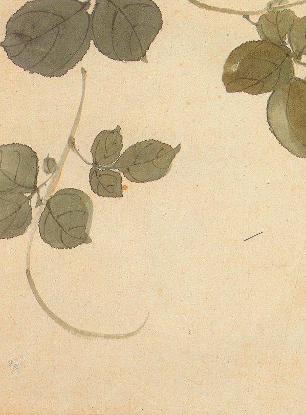清代画.王武_花卉册_11_2568.3480 清代画.王武_花卉册_11_2568.3480