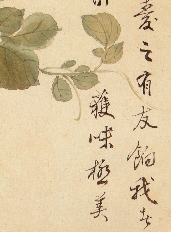 清代画.王武_花卉册_11_2568.3480 清代画.王武_花卉册_11_2568.3480