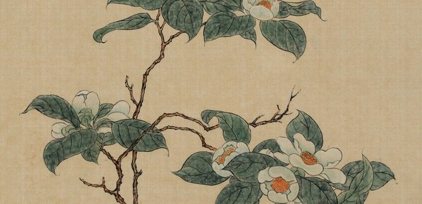清代画.溥儒_花哇绢_6500.12629