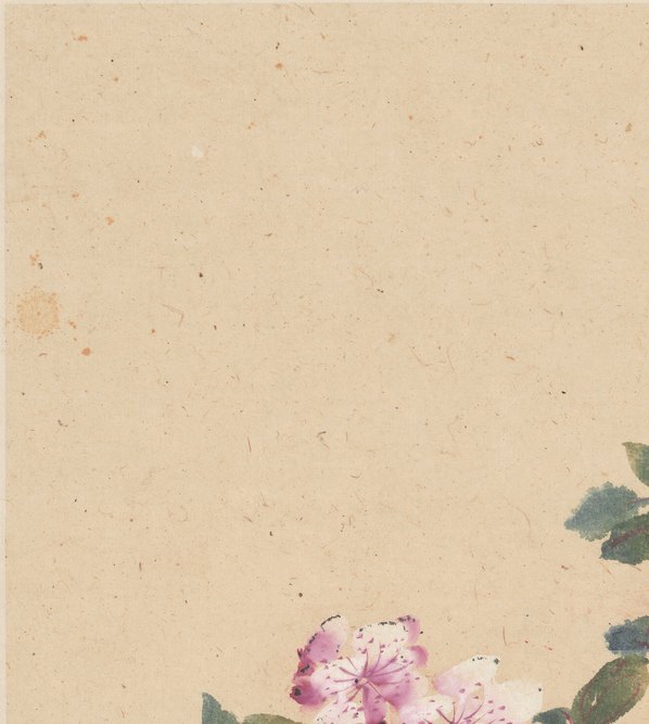 清代画.李鱓_花卉十二开_11_3906.4362