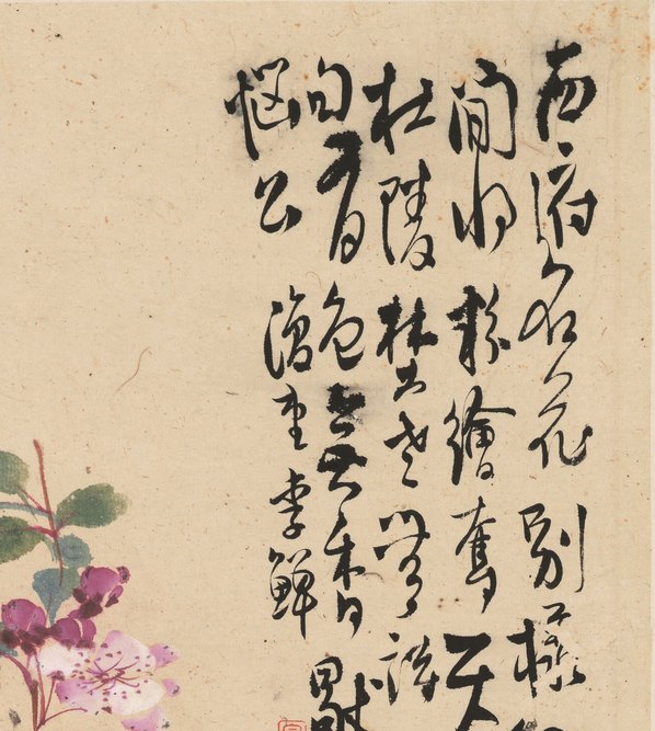 清代画.李鱓_花卉十二开_11_3906.4362