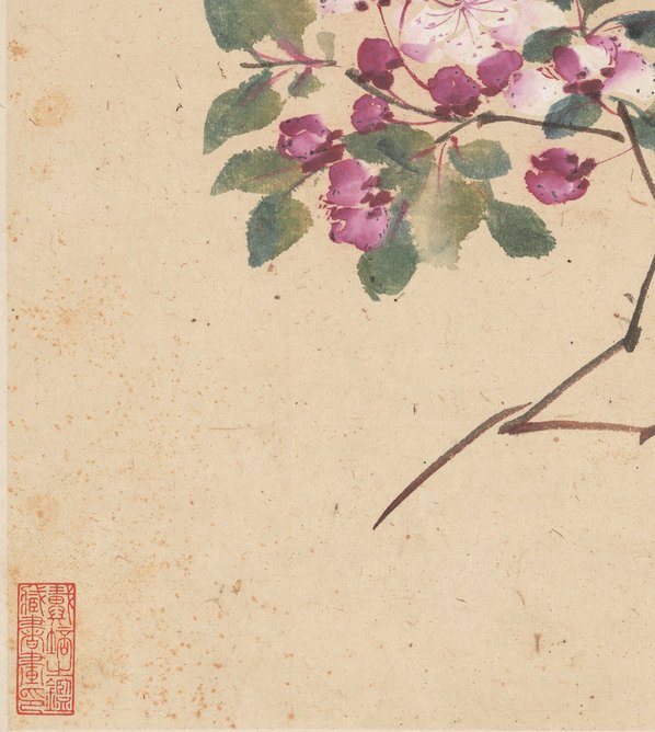 清代画.李鱓_花卉十二开_11_3906.4362