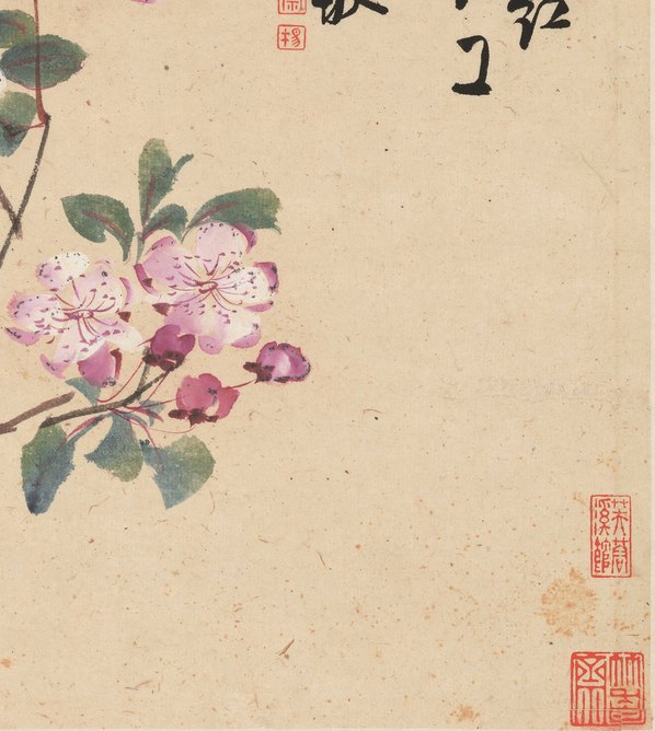 清代画.李鱓_花卉十二开_11_3906.4362