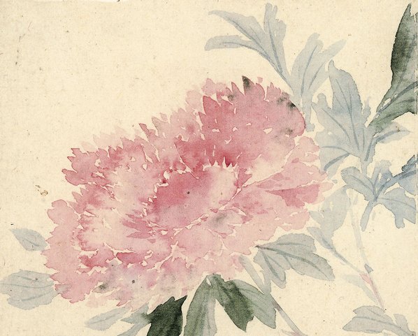 清代画.惲寿平_甌香馆写生册_牡_4262.3425 清代画.惲寿平_甌香馆写生册_牡_4262.3425